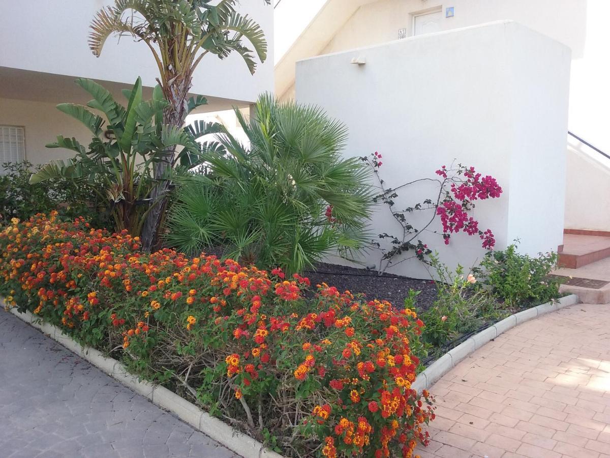 Apartamento Junto Al Mar En La Costa De Almeria El Pozo del Esparto Exteriér fotografie